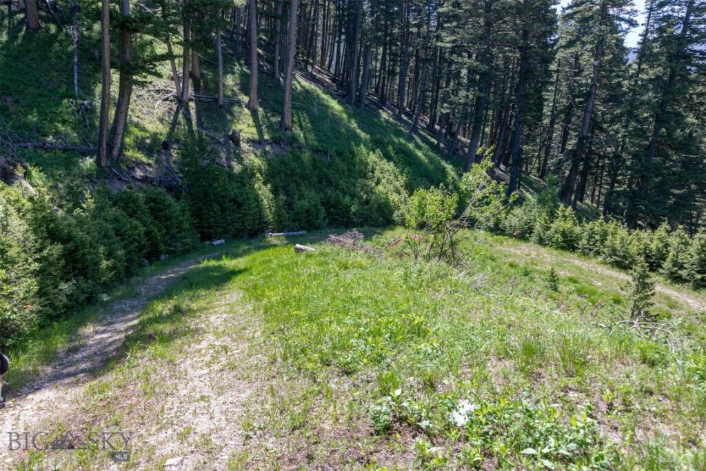 Bozeman MT 59718 - 6