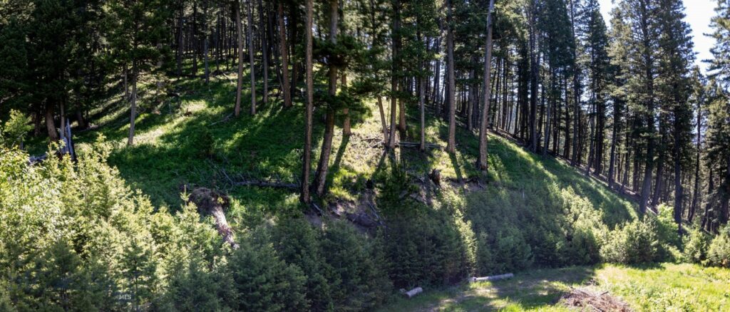 3600 Cottonwood Ranch Trail