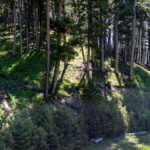 3600 Cottonwood Ranch Trail