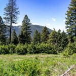 Bozeman MT 59718 - 7