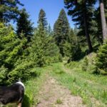 3600 Cottonwood Ranch Trail