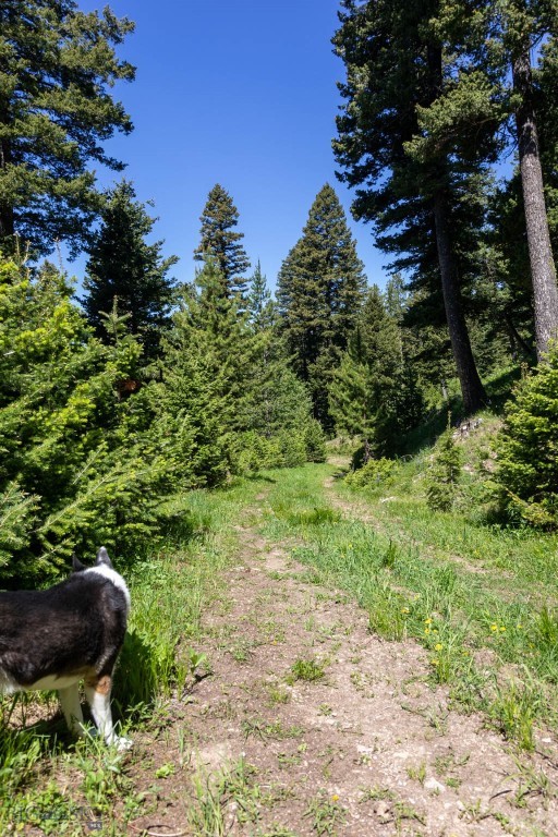 3600 Cottonwood Ranch Trail