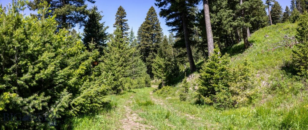 Bozeman MT 59718 - 8