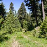 Bozeman MT 59718 - 8