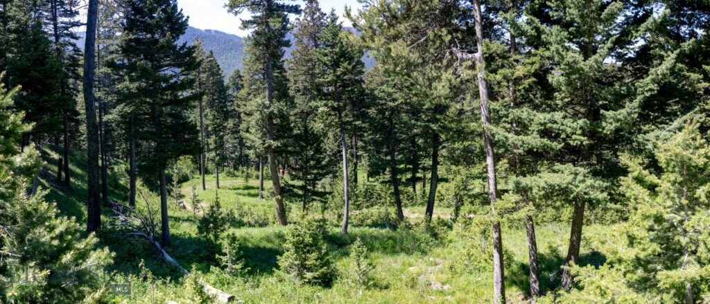 3600 Cottonwood Ranch Trail