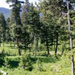 3600 Cottonwood Ranch Trail