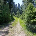 Bozeman MT 59718 - 9