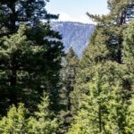 3600 Cottonwood Ranch Trail