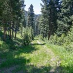 Bozeman MT 59718 - 10