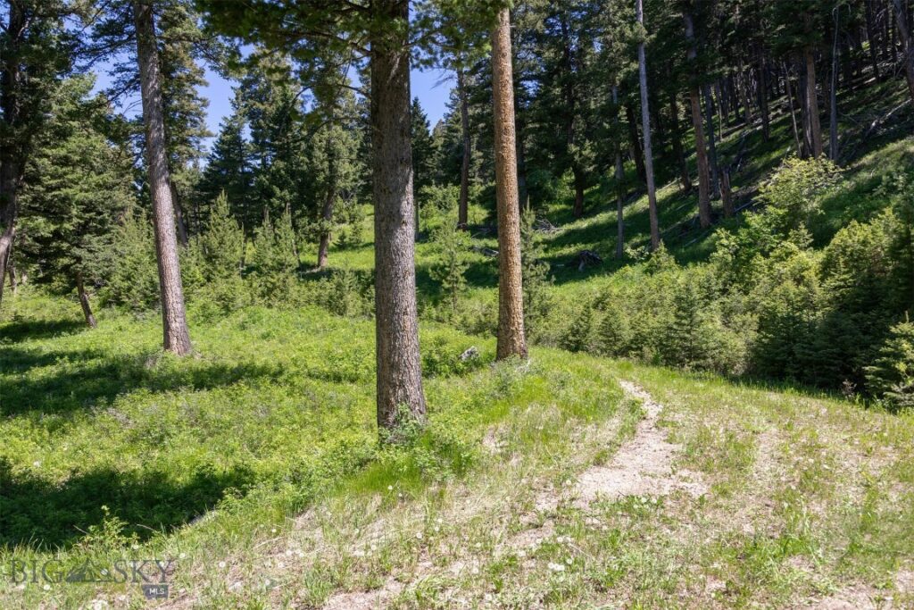 Bozeman MT 59718 - 11