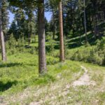 Bozeman MT 59718 - 11