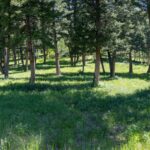 3600 Cottonwood Ranch Trail