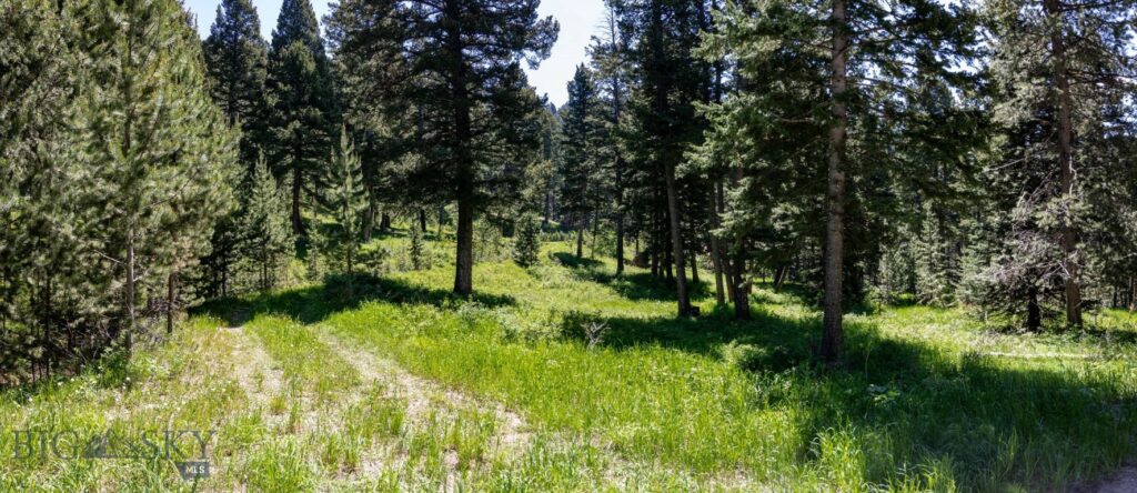 Bozeman MT 59718 - 12