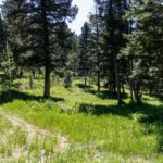 Bozeman MT 59718 - 12