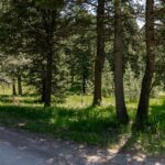 3600 Cottonwood Ranch Trail