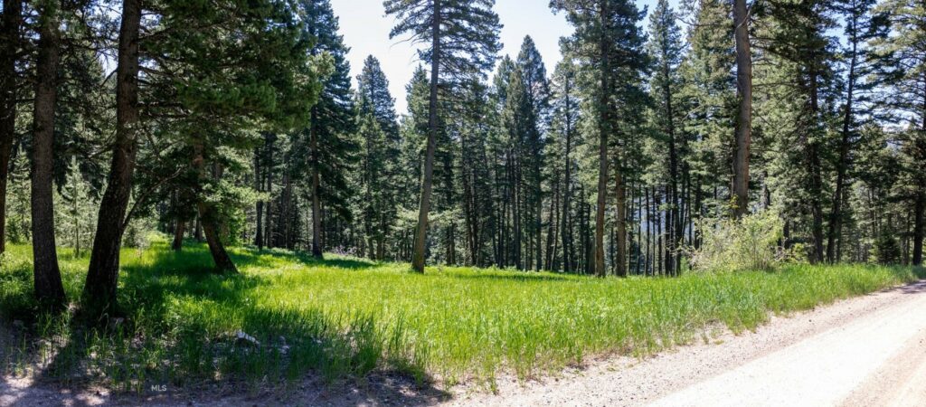 Bozeman MT 59718 - 13