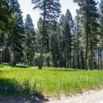 Bozeman MT 59718 - 13