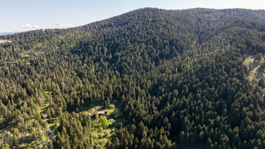 Bozeman MT 59718 - 14