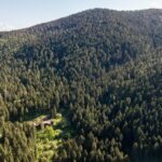 Bozeman MT 59718 - 14