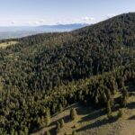 3600 Cottonwood Ranch Trail