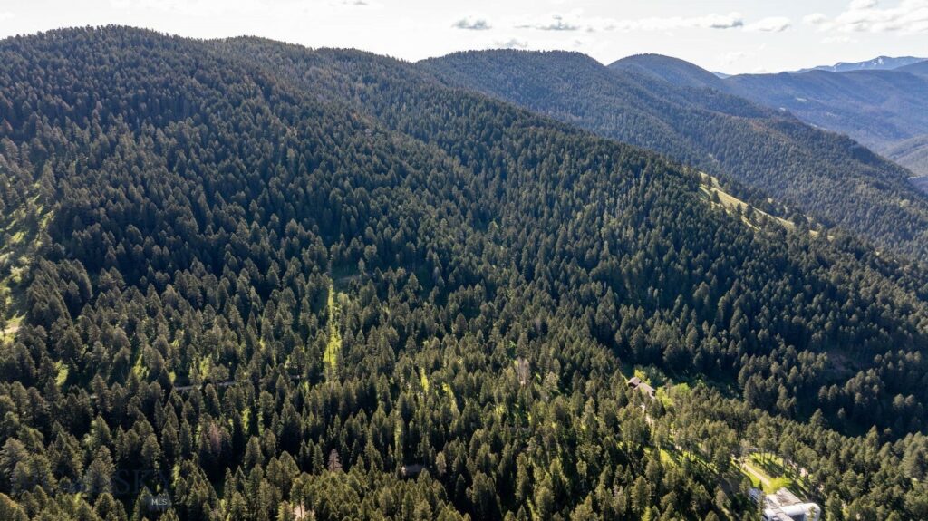 Bozeman MT 59718 - 15