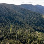 Bozeman MT 59718 - 15