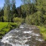 Bozeman MT 59718 - 2