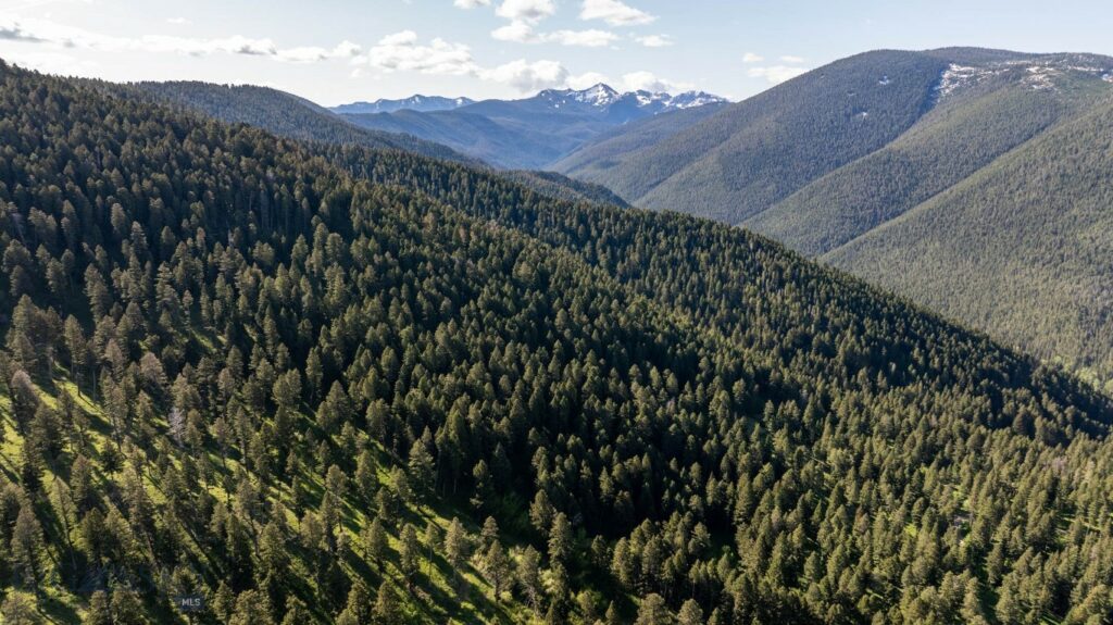 3600 Cottonwood Ranch Trail