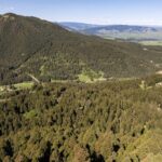 Bozeman MT 59718 - 16