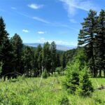 3600 Cottonwood Ranch Trail