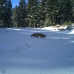 3600 Cottonwood Ranch Trail