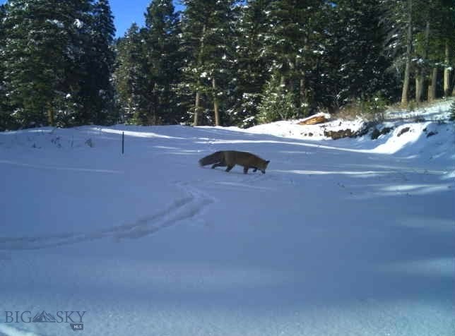 3600 Cottonwood Ranch Trail