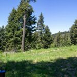 Bozeman MT 59718 - 3