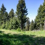 3600 Cottonwood Ranch Trail