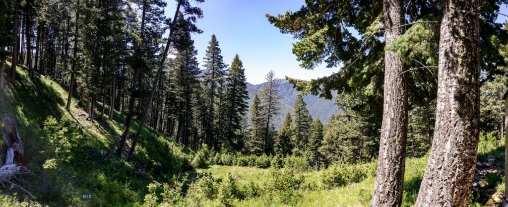 Bozeman MT 59718 - 4