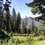 Bozeman MT 59718 - 4