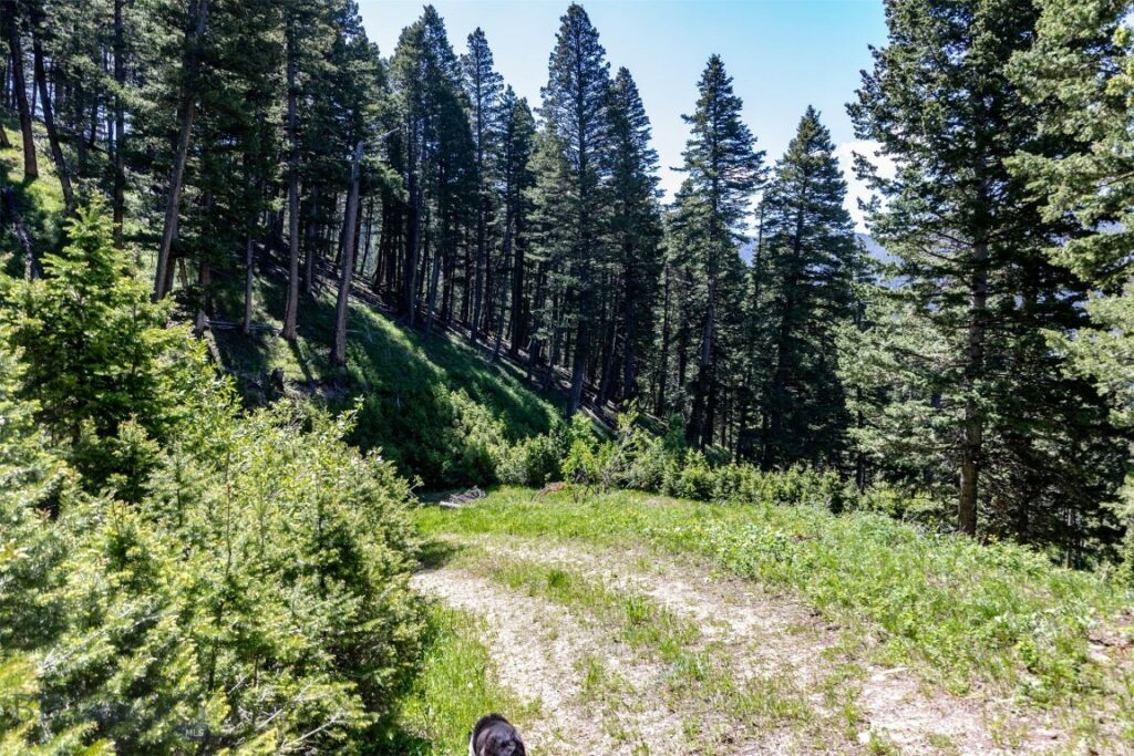 Bozeman MT 59718 - 5