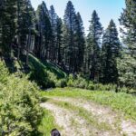 Bozeman MT 59718 - 5