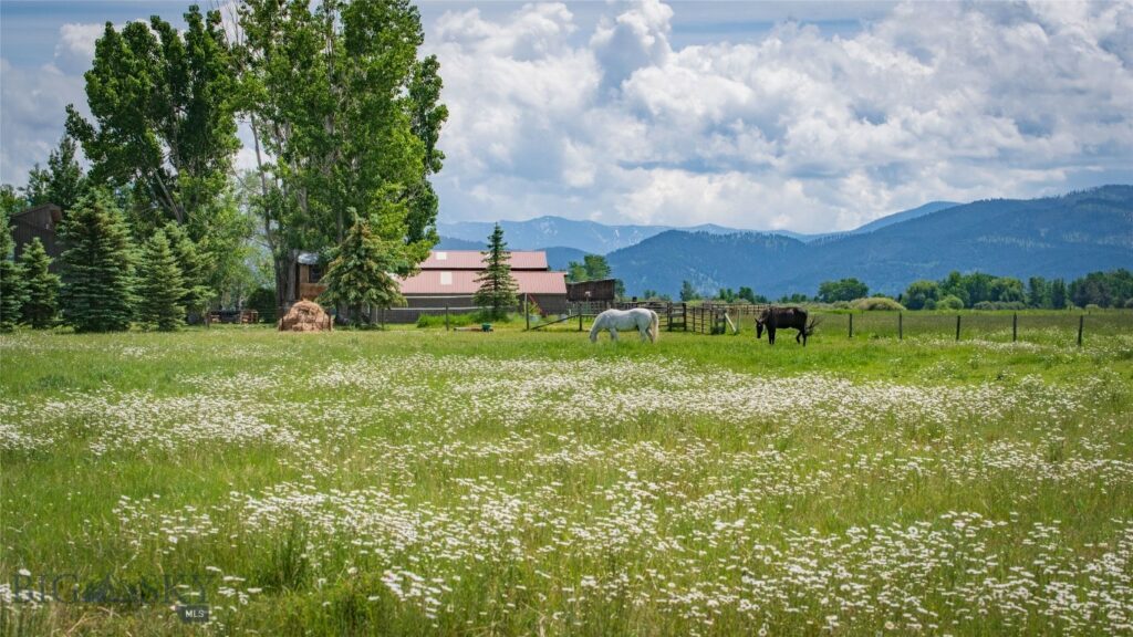 Bozeman MT 59718 - 17