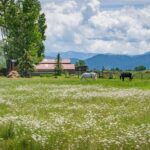 Bozeman MT 59718 - 17