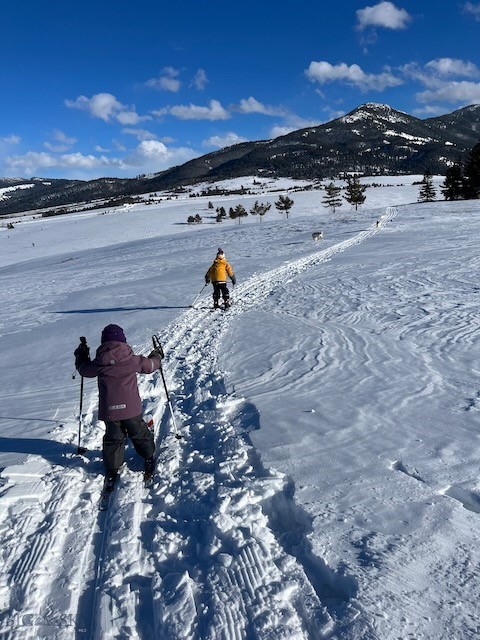 Bozeman MT 59715 - 19