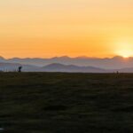 Bozeman MT 59715 - 20