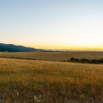 Bozeman MT 59715 - 21