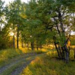 Bozeman MT 59715 - 23