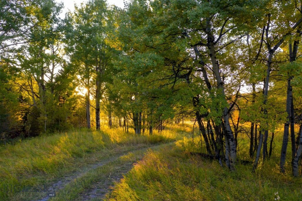 Bozeman MT 59715 - 25