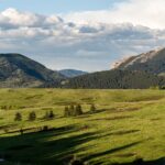 Bozeman MT 59715 - 3