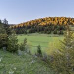 Bozeman MT 59715 - 1