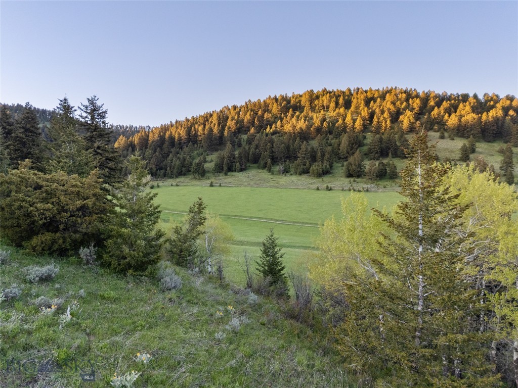 Bozeman MT 59715 - 1