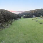 Bozeman MT 59715 - 6