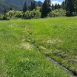 Bozeman MT 59715 - 14
